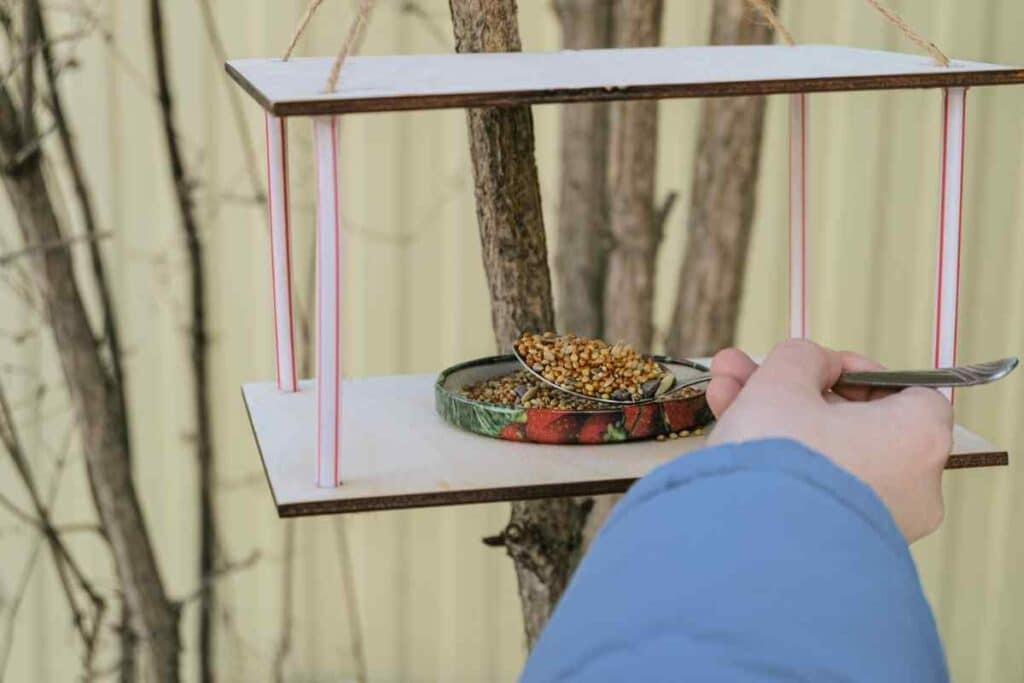 Why Feeding Breakfast Cereals to Wild Birds Is a Good Idea