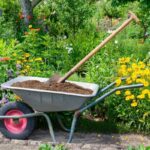 Cheapest Hotbin Composters Compared