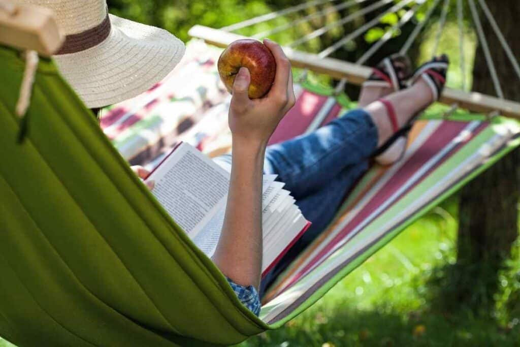 Cleaning garden hammock