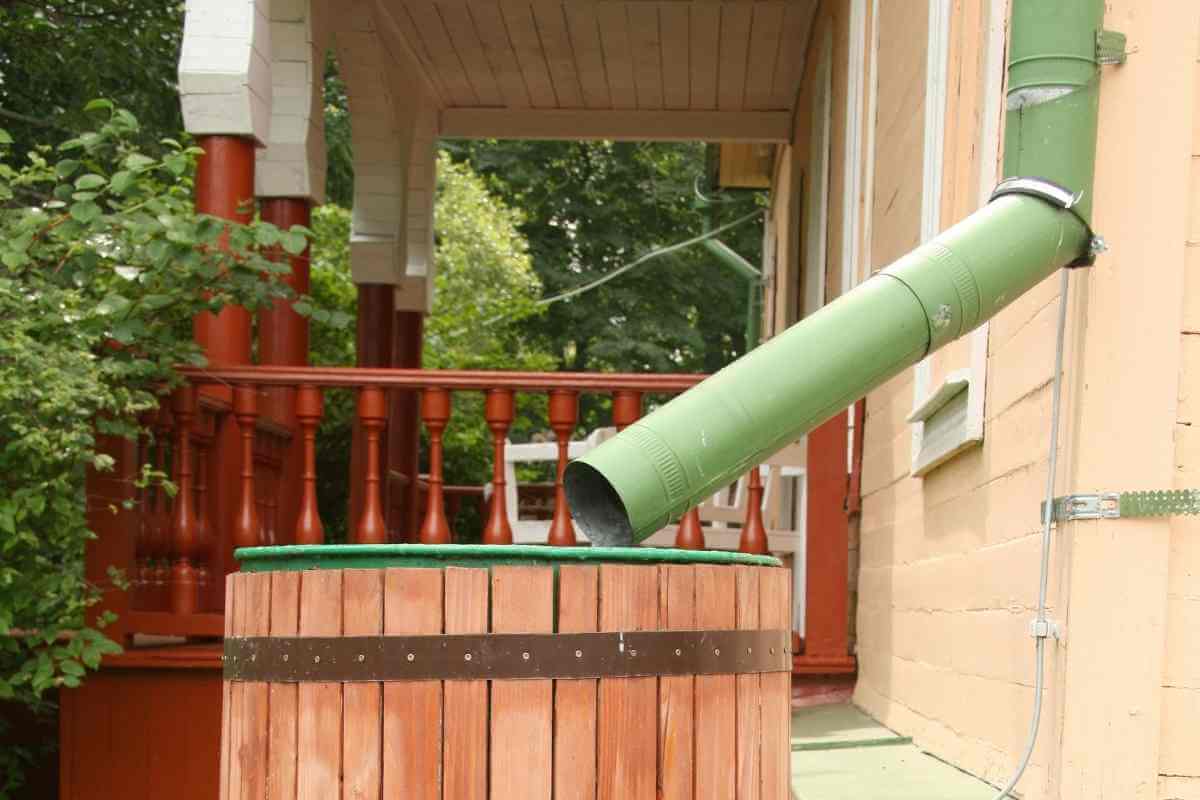 Is It Safe and Illegal to Collect Rainwater in America? Gardenia Organic