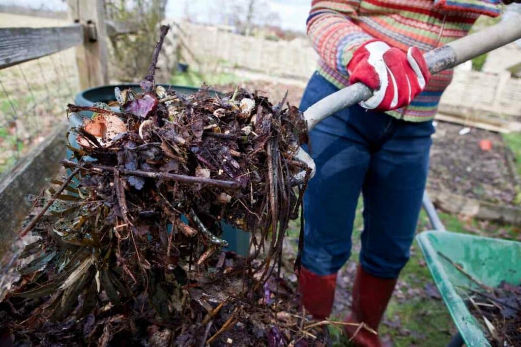 How Do I Get Worms In My Compost Pile?