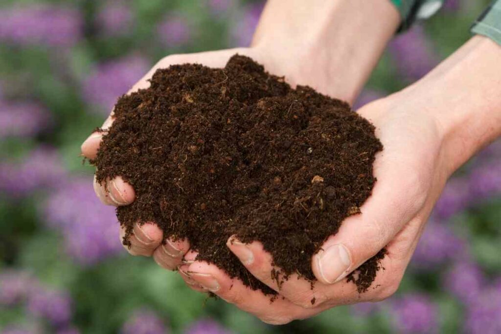 Do You Need To Flush Organic Soil?