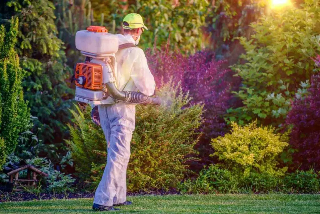 Garden safe fungicide advice