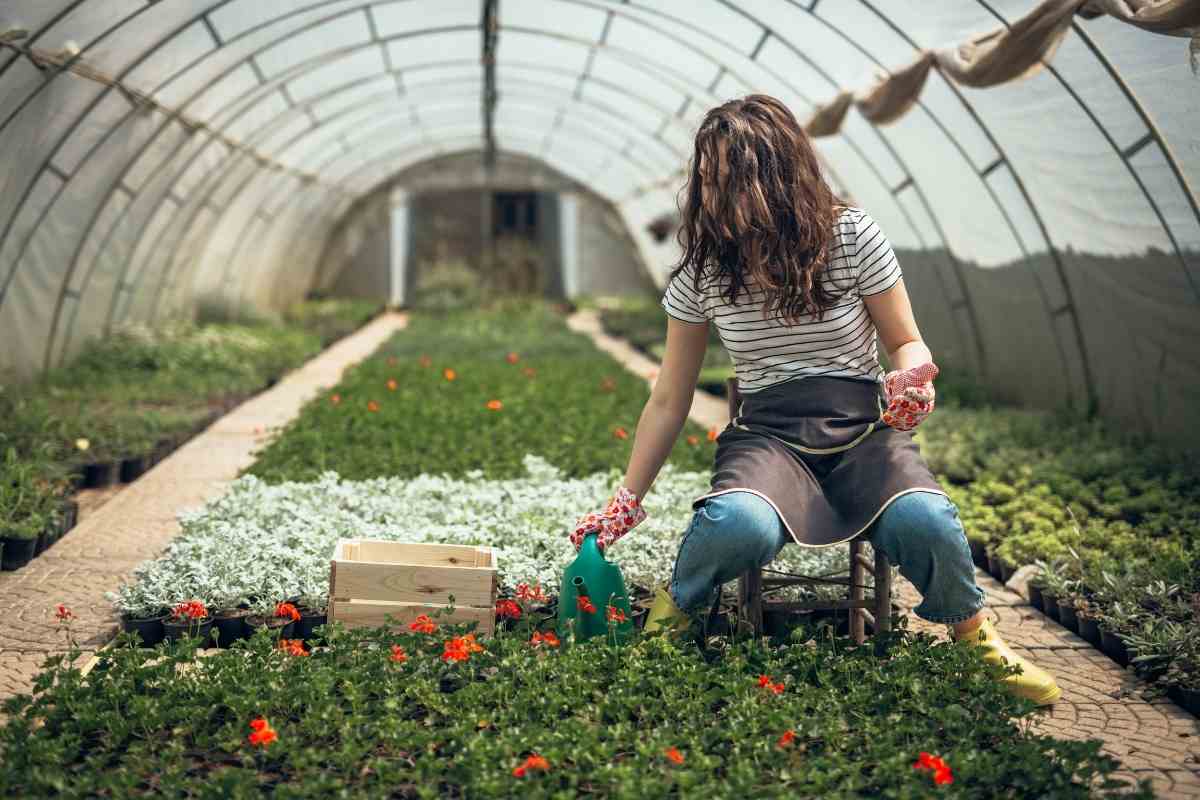 9 Plants That Love Epsom Salts Gardenia Organic