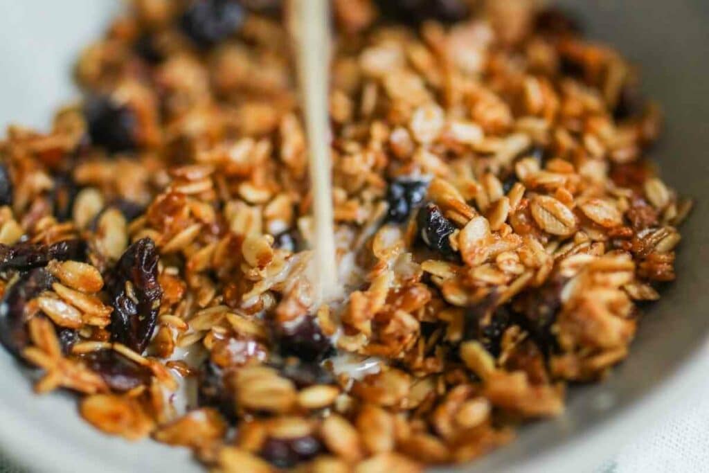 Can Wild Birds Eat Granola?