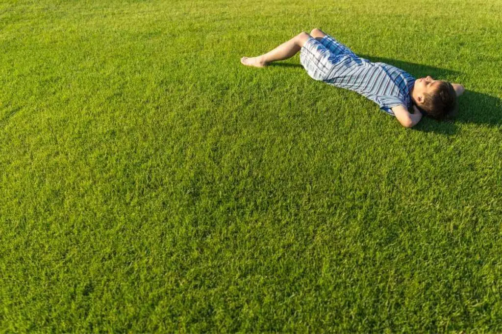 Boy on a healthy grass