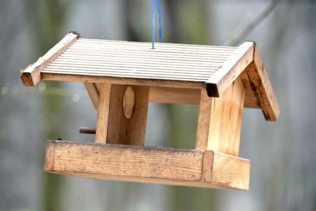 Hanging bird table design