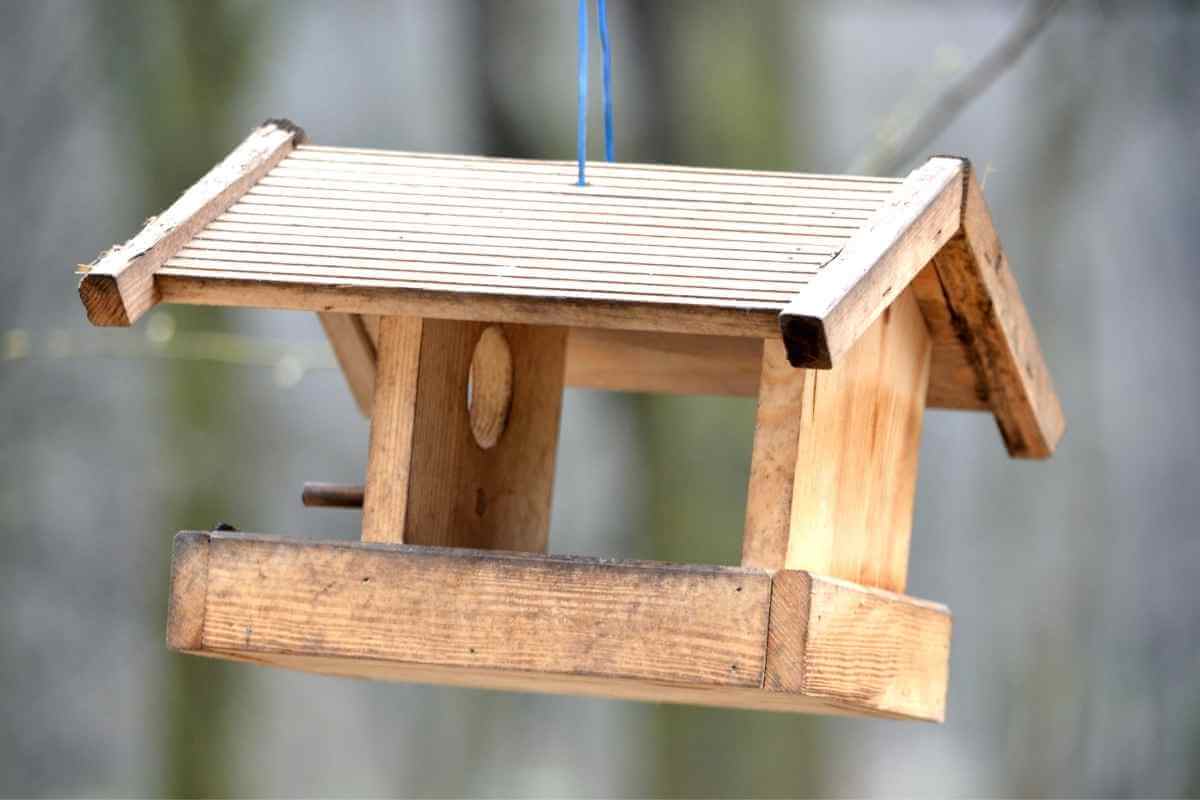15 Bird Table Design Ideas Gardenia Organic