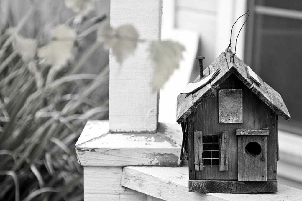 Haunted House Bird Table idea