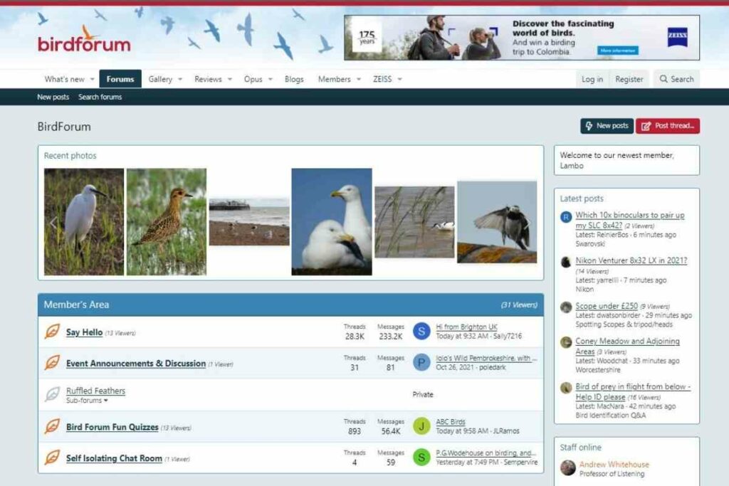 homepage@birdforum.net