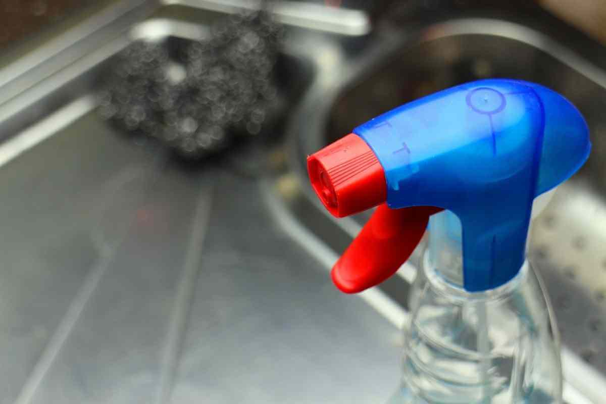 Is It Really Possible To Kill A Tree With Bleach? Gardenia Organic