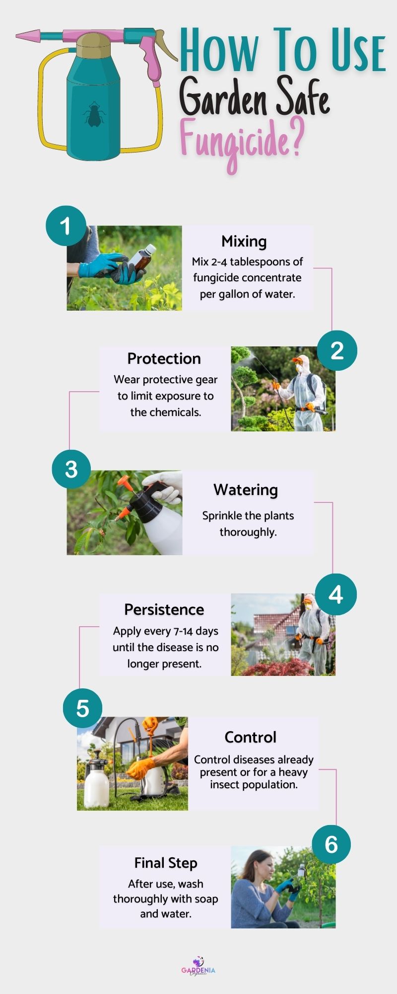 Infographics Guide On How To Use Garden Safe Fungicide