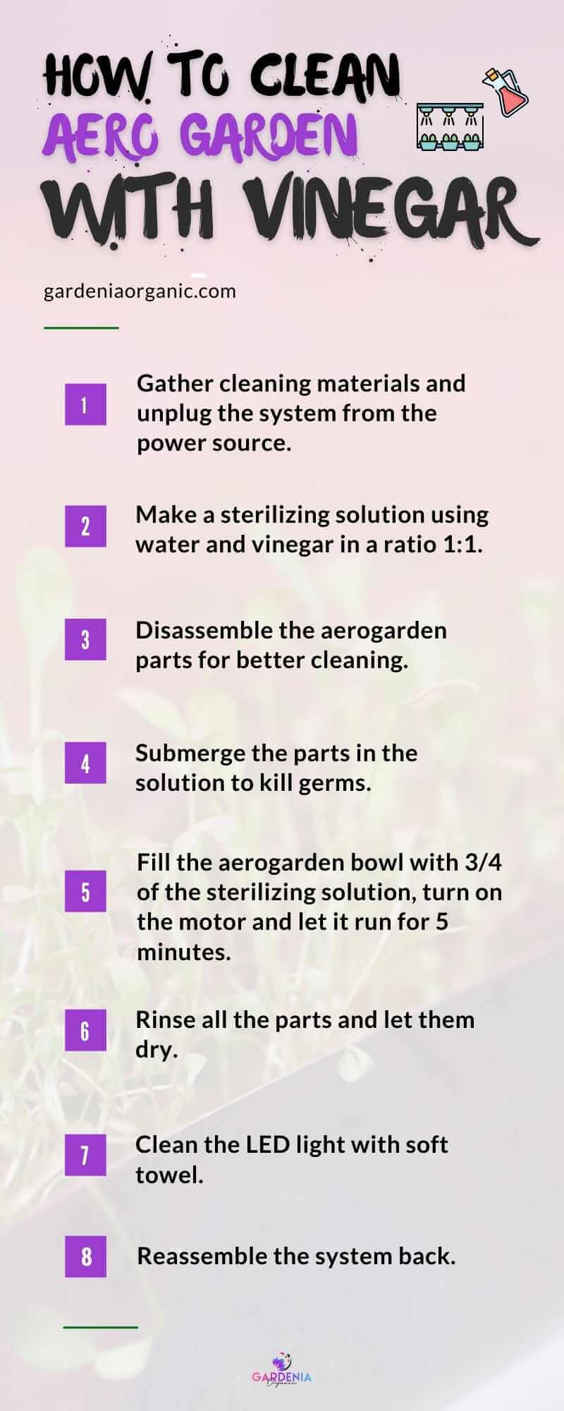 Infographics How to clean aero garden with vinegar 