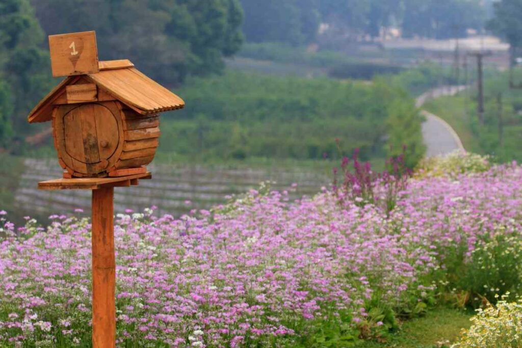 Mailbox Bird Table idea