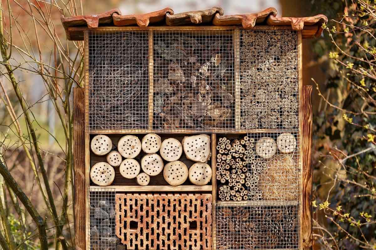 what-is-a-bee-hotel-a-beginner-s-guide-to-garden-bee-hotels-gardenia