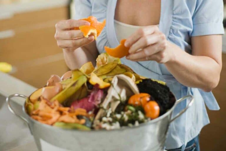 How To Get Rid Of Flies In Compost Bins (Natural And Chemical Options