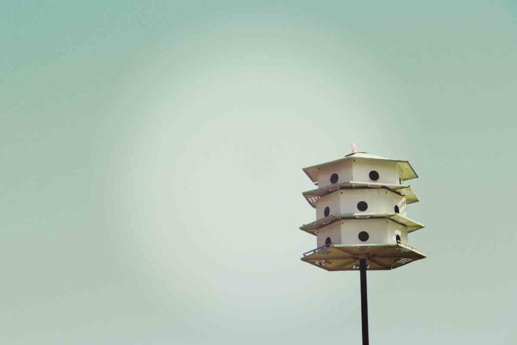 Multi level bird table design