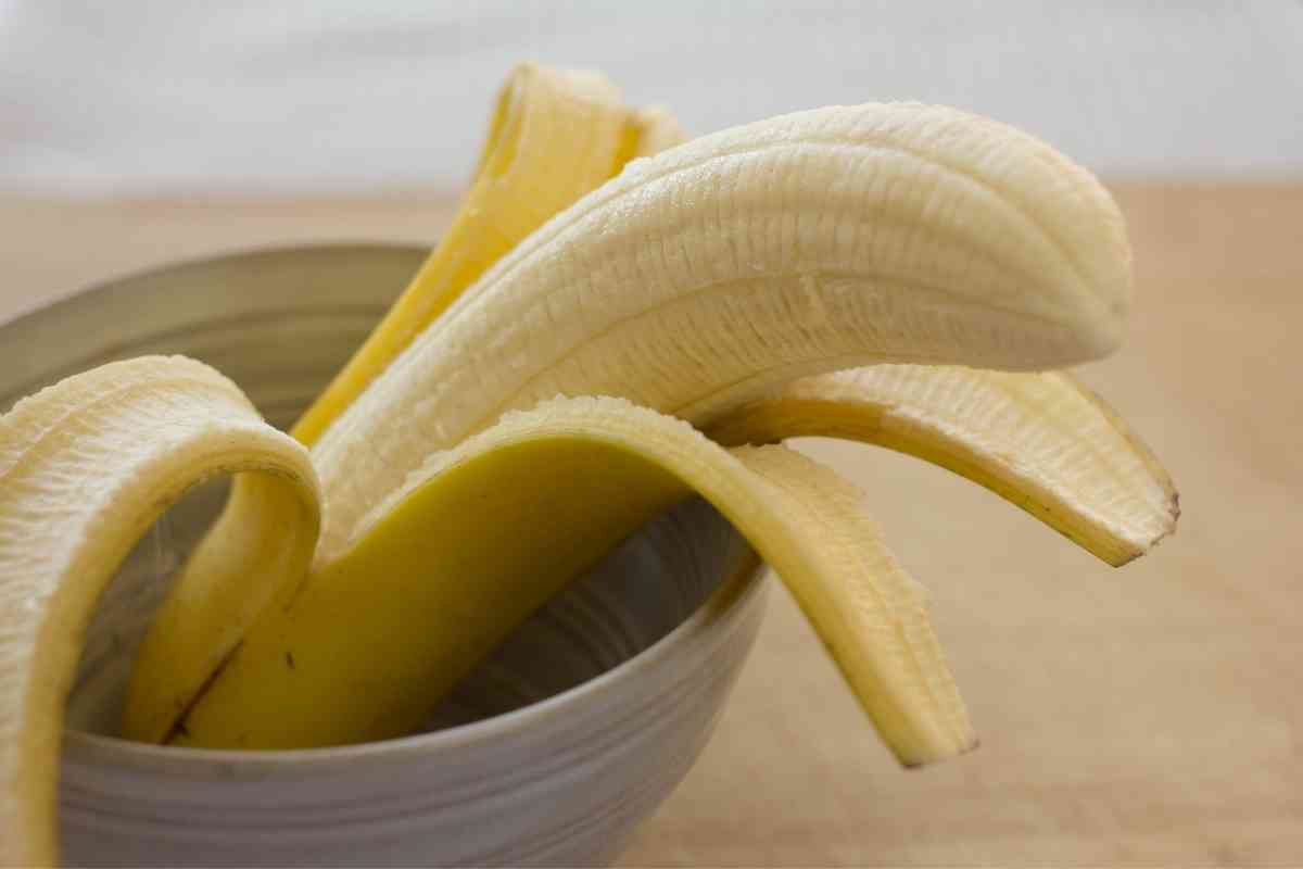 Why Do Organic Bananas Taste Better? - Gardenia Organic