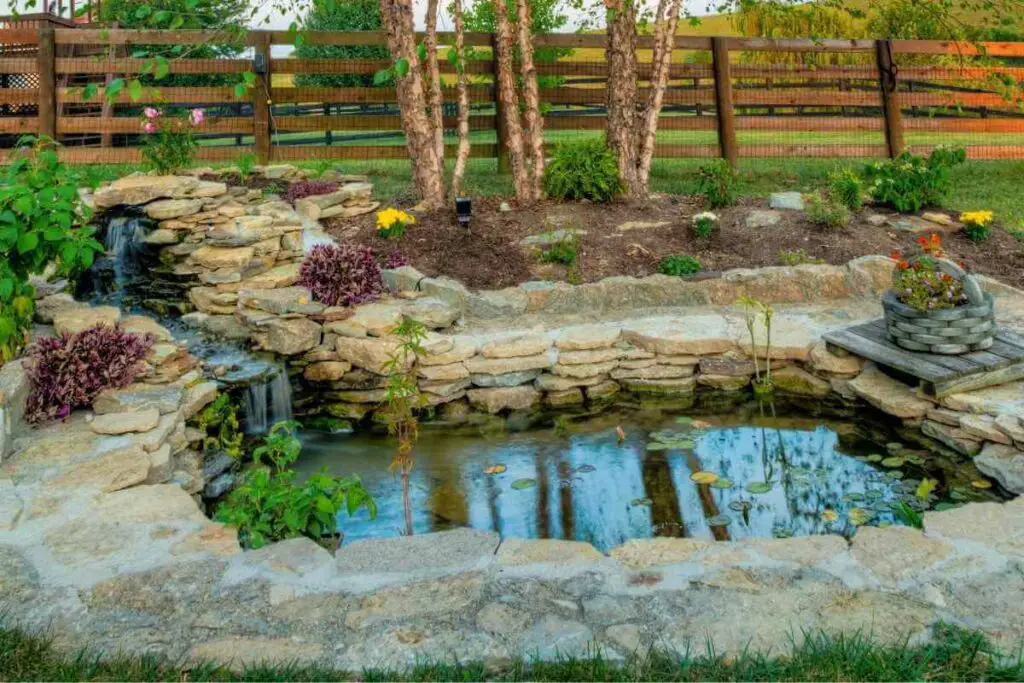 9 Reasons Why Your Pond Could Be Losing Water