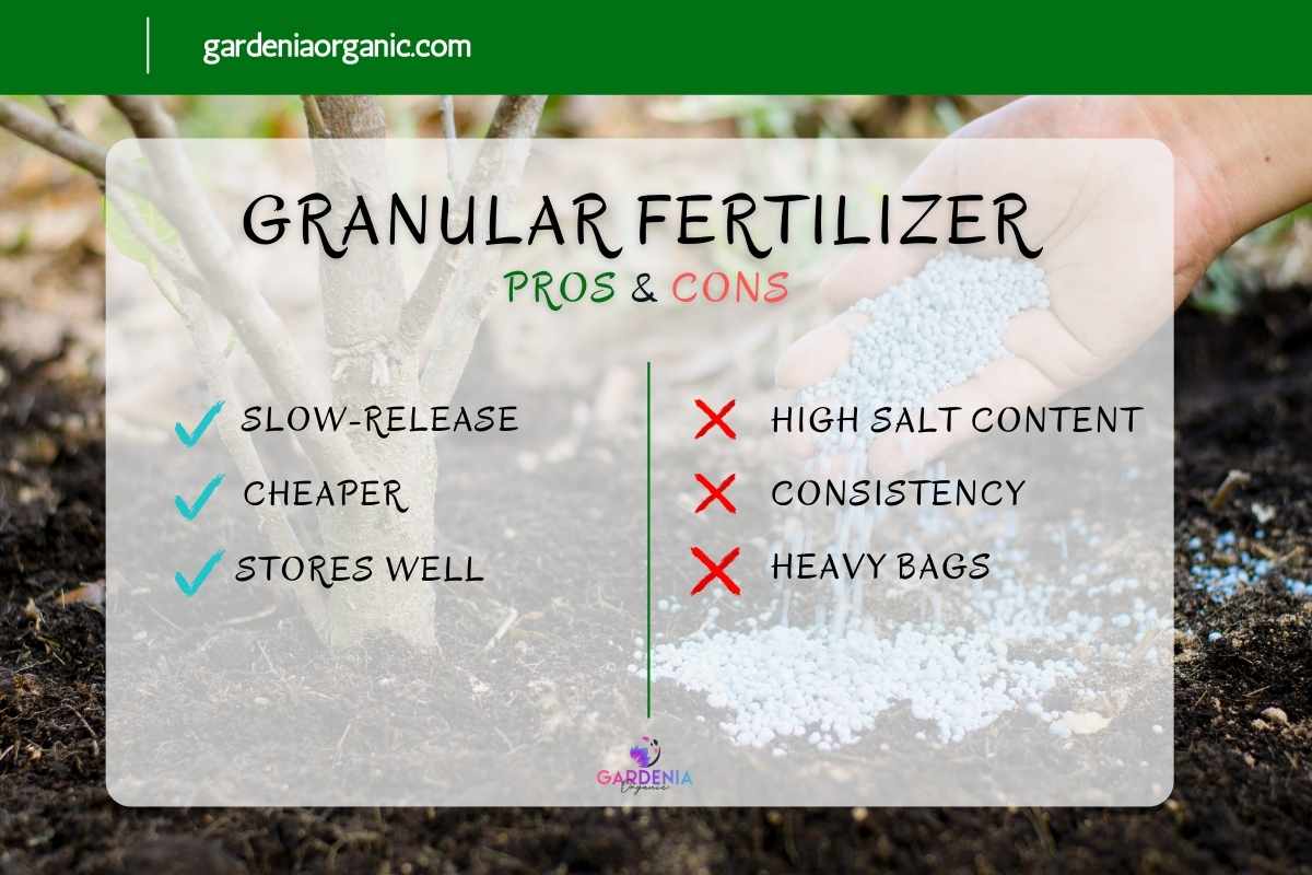 Granular Vs Liquid Fertilizer For Lawns Which Is Better Gardenia