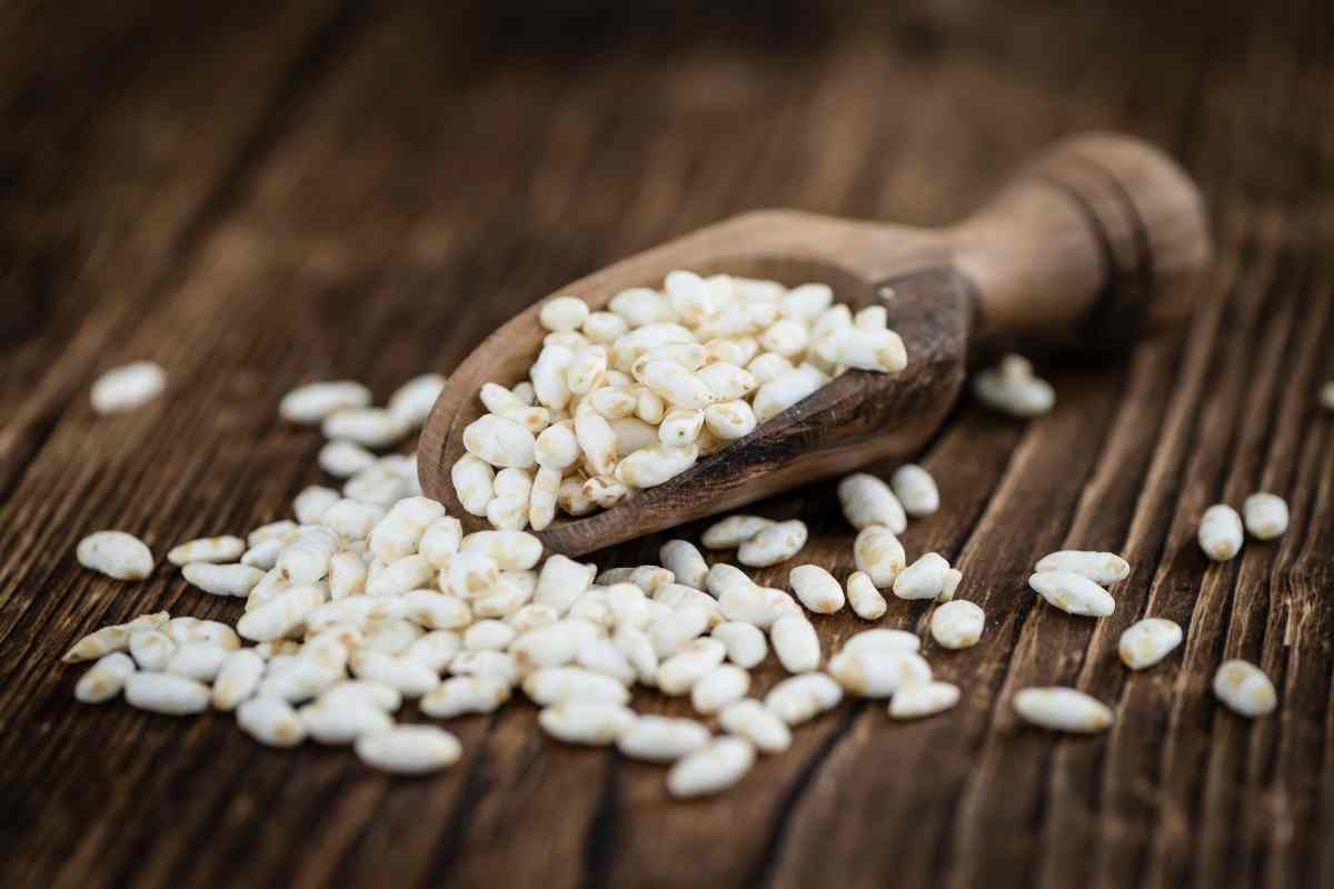 Can Wild Birds Eat Breakfast Cereal? (12 Cereals Covered) Gardenia