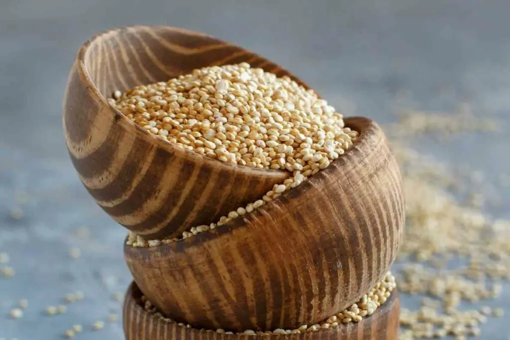 Prepare Quinoa microgreens seeds