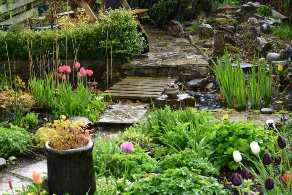 The benefits of having rain garden