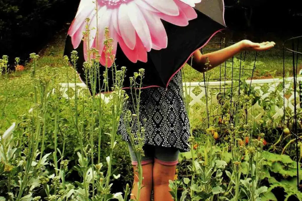 A woman in Rain garden