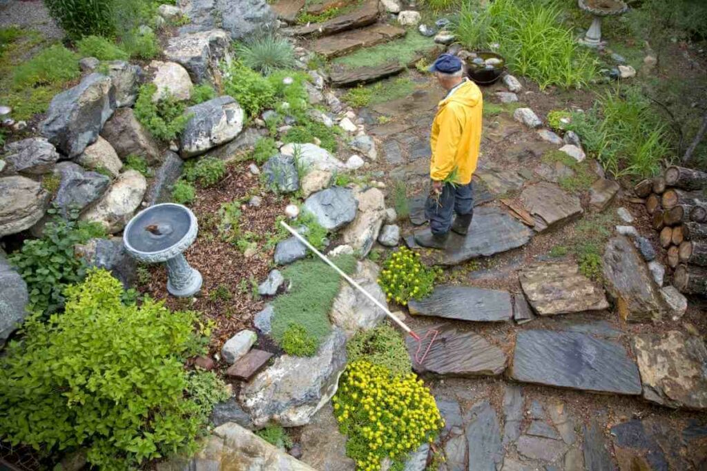 Tips for building rain garden