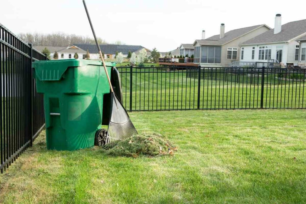 Why Rake your Lawn during Autumn