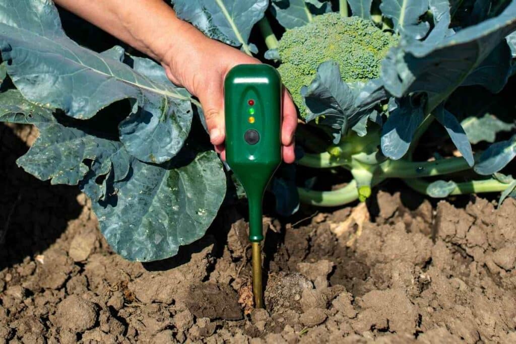 Measuring soil moisture