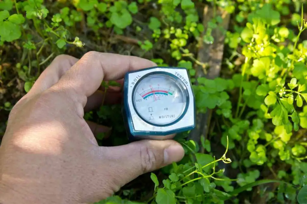 Soil moisture sensor in a garden