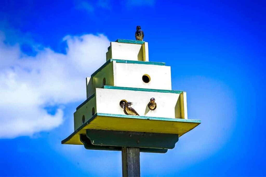 Two Tier Bird Table desgin