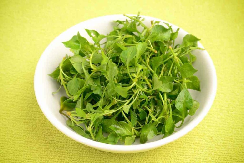 Watercress eating