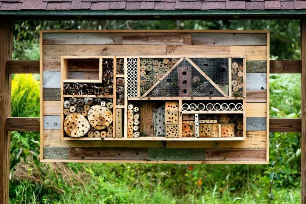 What Is a Bee Hotel?