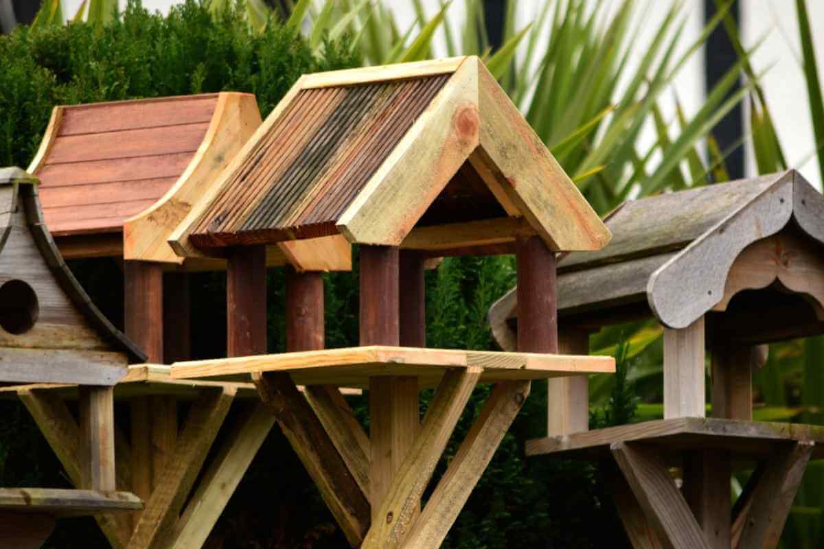 15 Bird Table Design Ideas Gardenia Organic