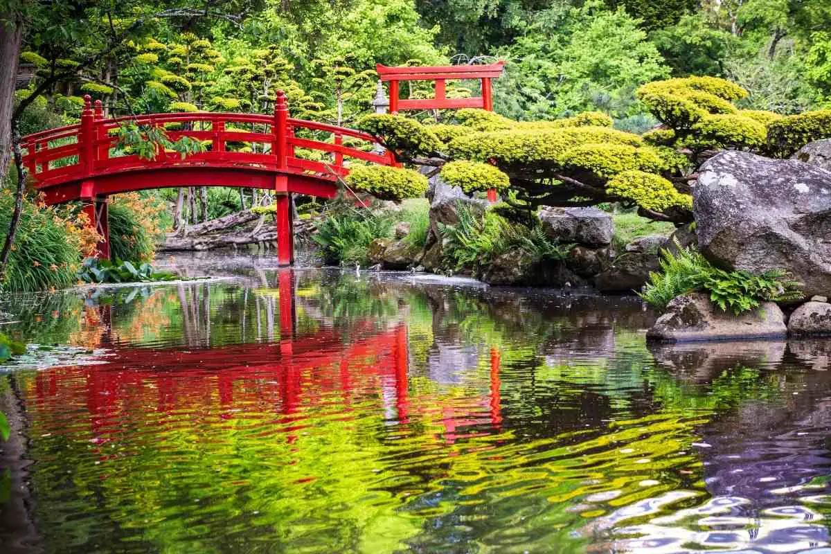 Why Do Japanese Gardens Have Bridges?
