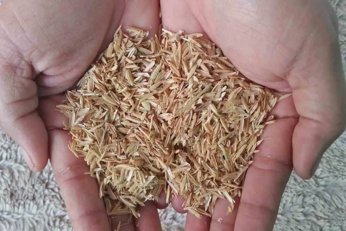 Are Rice Hulls Good For Potting Soil?