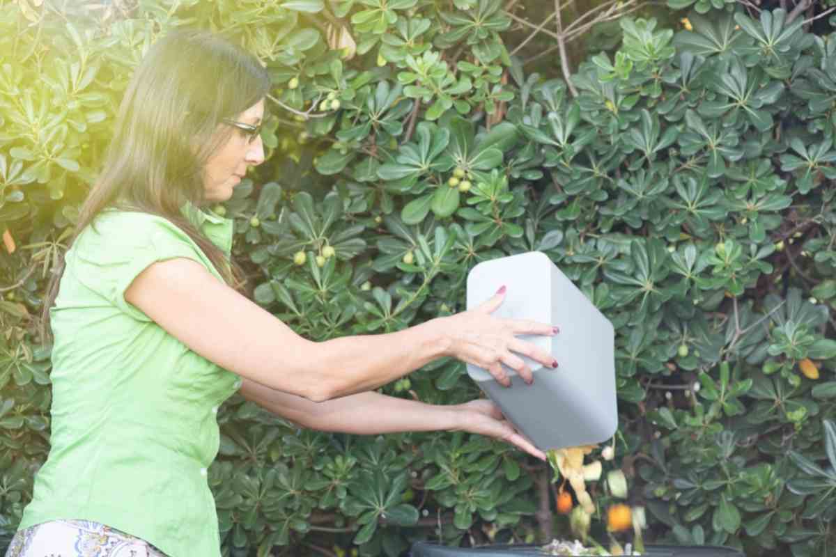 The 6 Best Compost Accelerators (Off The Shelf, Organic, And Homemade