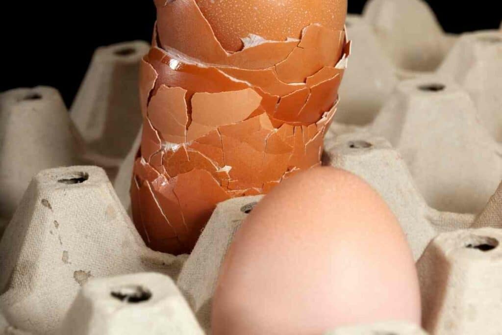 Eggshells alternative miracle-gro