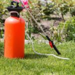 Top 5 Fungicide for Lawn Rust
