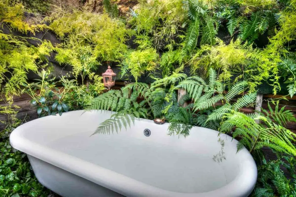 Outdoor bathtub with plants around