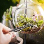 How to Make a Zen Garden Terrarium