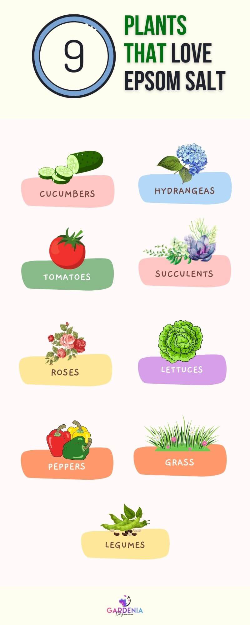 Infographics plants that love Epsom salts