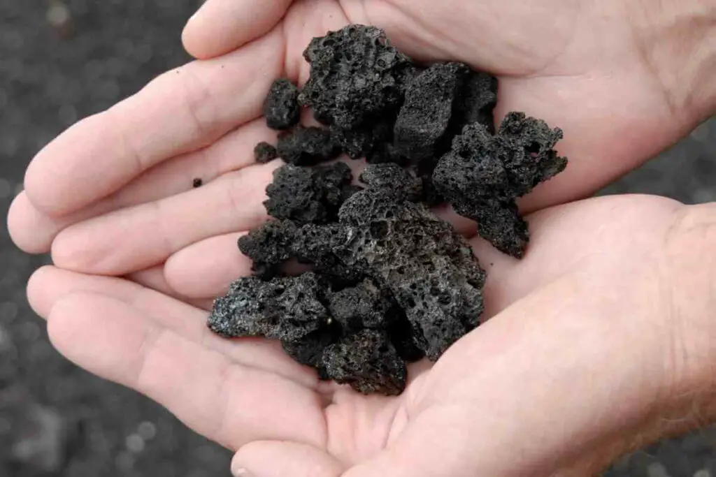 Lava rock for plants and gardening