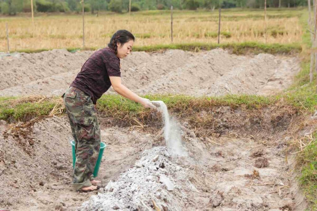 Lime benefit garden soil