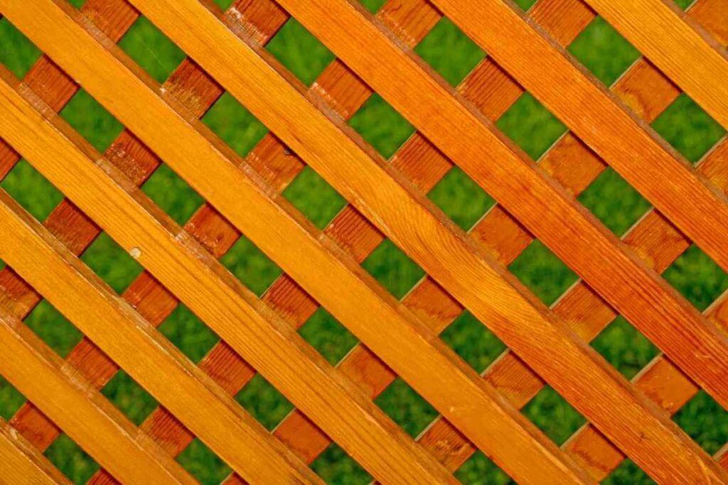 Orange garden fence in a garden