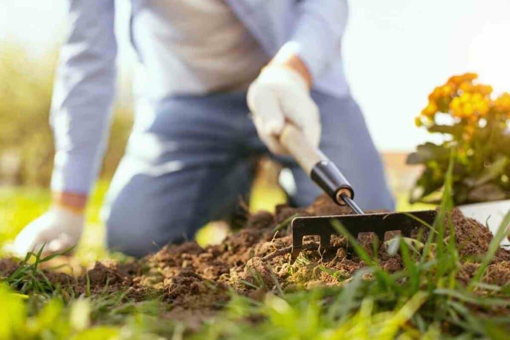 Why Don't Organic Gardeners Use Lime?