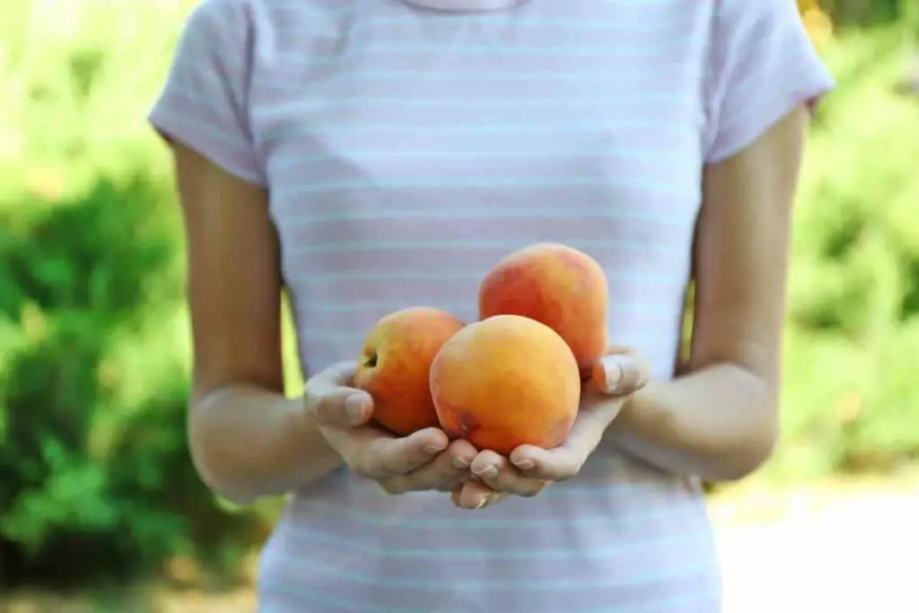 Holding peaches