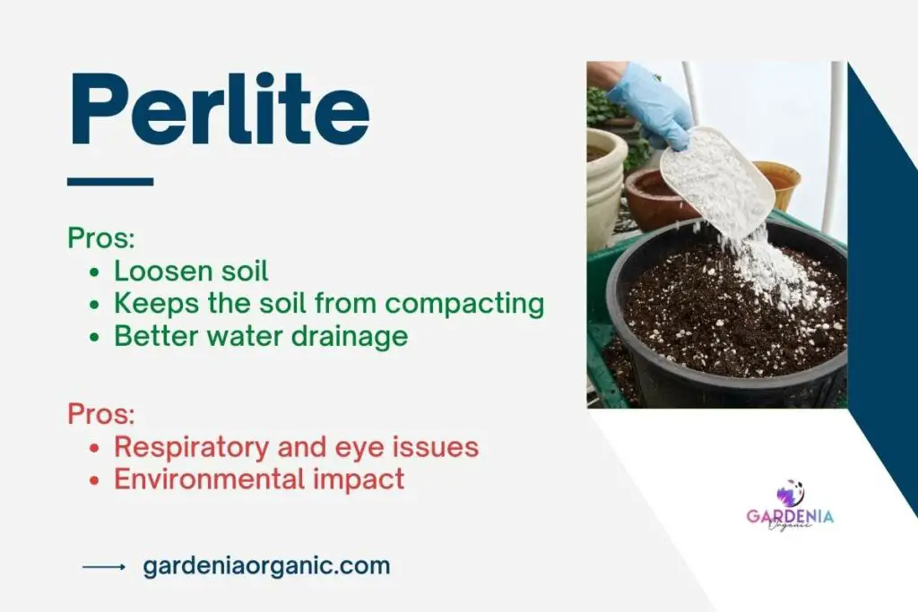 Perlite for plants pros and cons